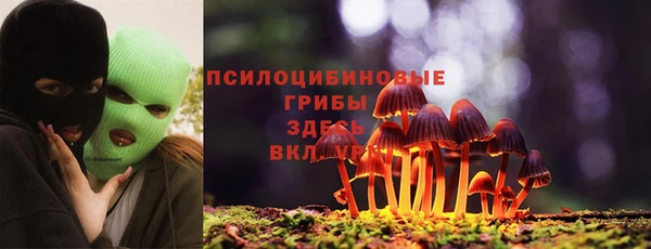 крисы Каменка