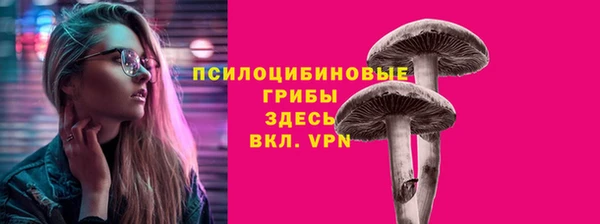 spice Инсар