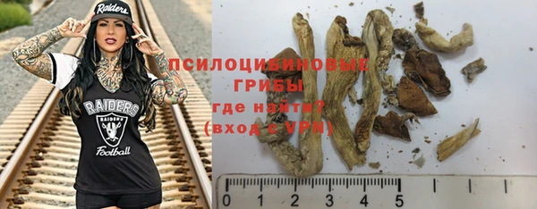 крисы Каменка