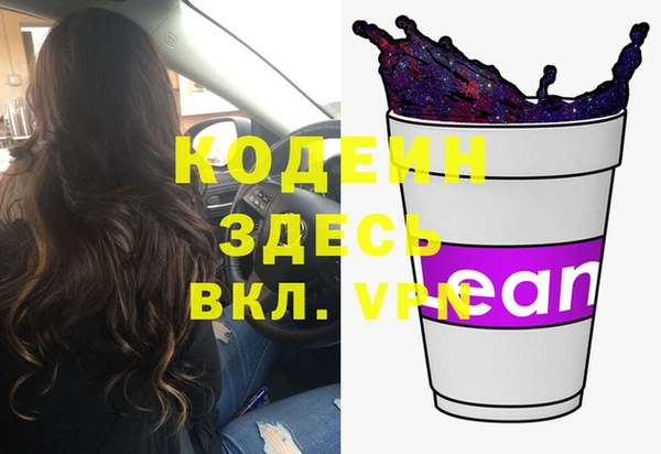 крисы Каменка