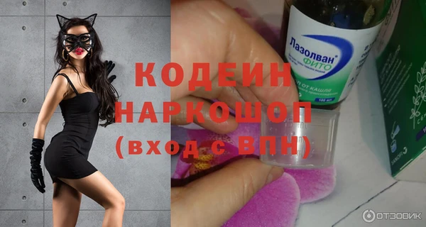 крисы Каменка
