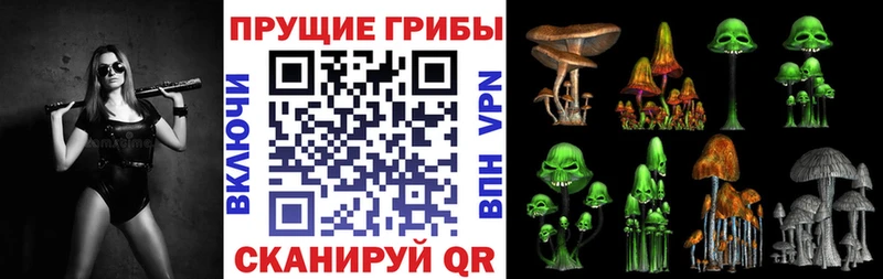 гидра ссылки  Кириллов  Псилоцибиновые грибы GOLDEN TEACHER 